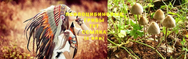 дживик Алексеевка